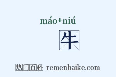 犛牛是什么意思的图片